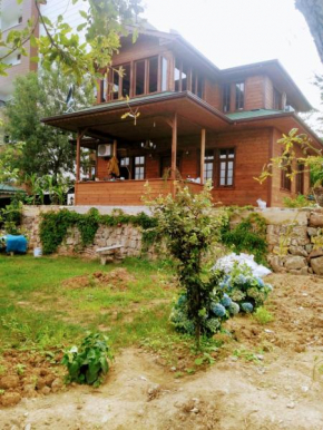 Zahi Bungalov